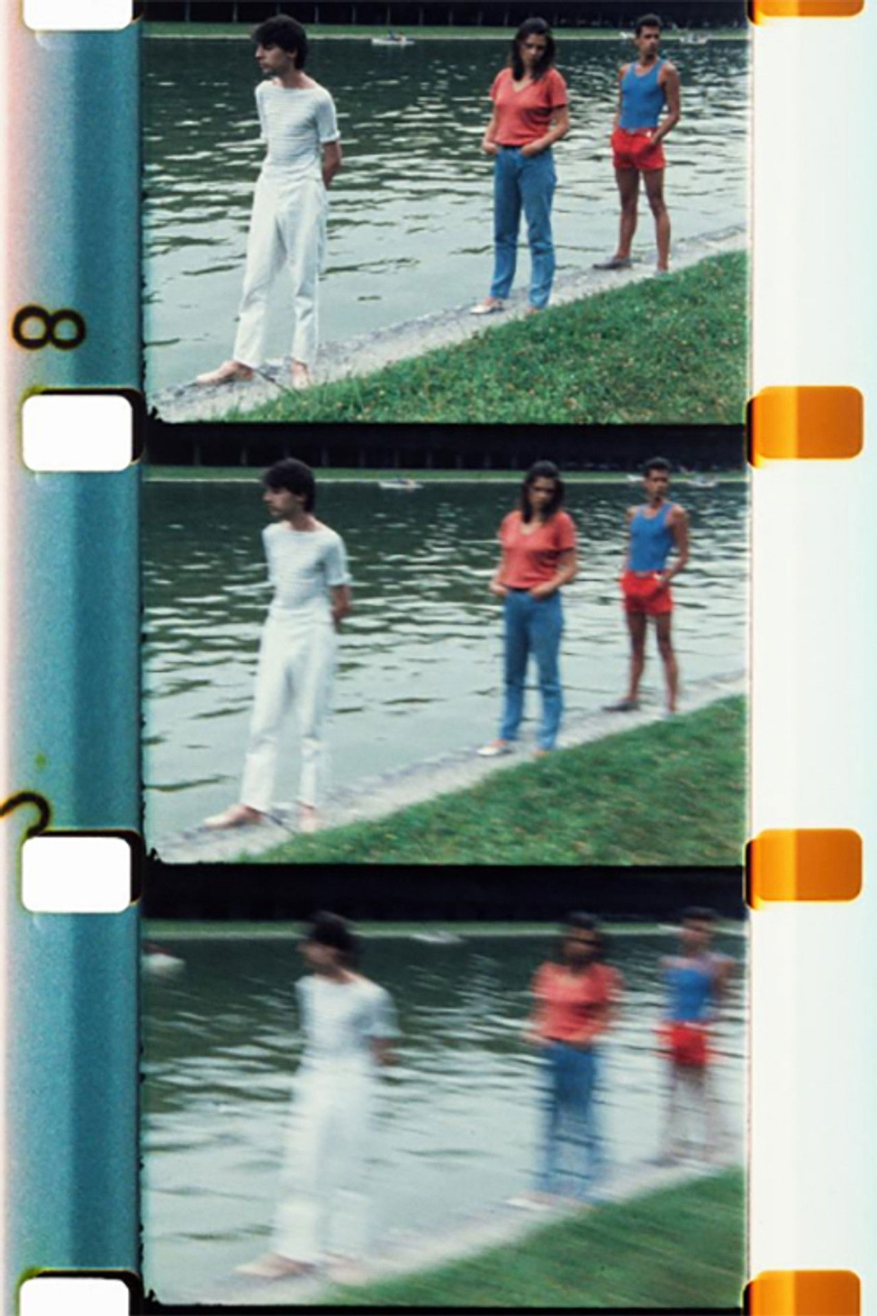 Chutes de Feuilles d’été Backdrop