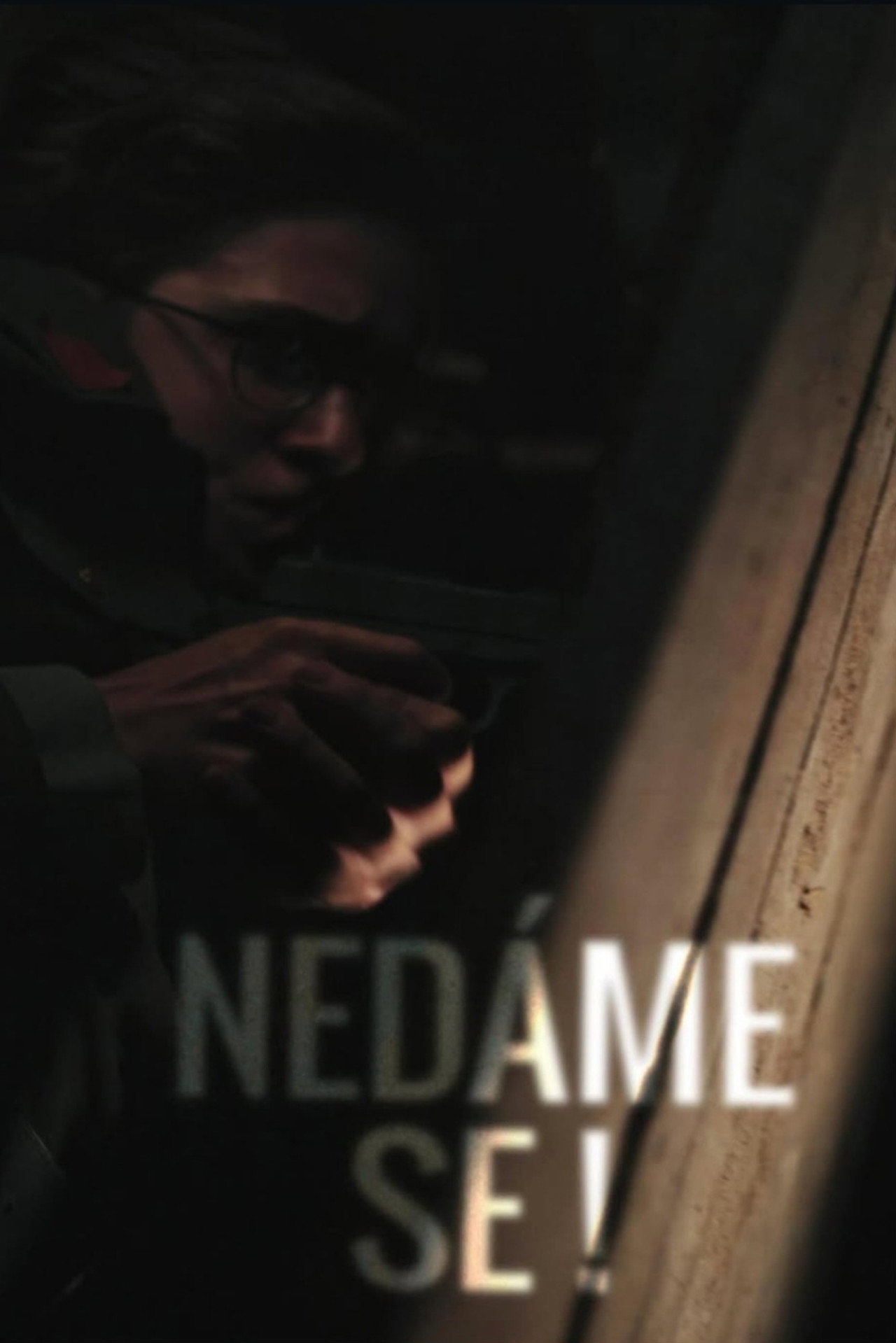 Nedáme se! filmaffisch