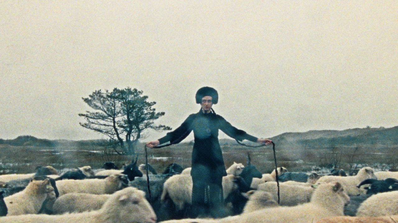 Last night I stayed within myself and this morning I decided to live here