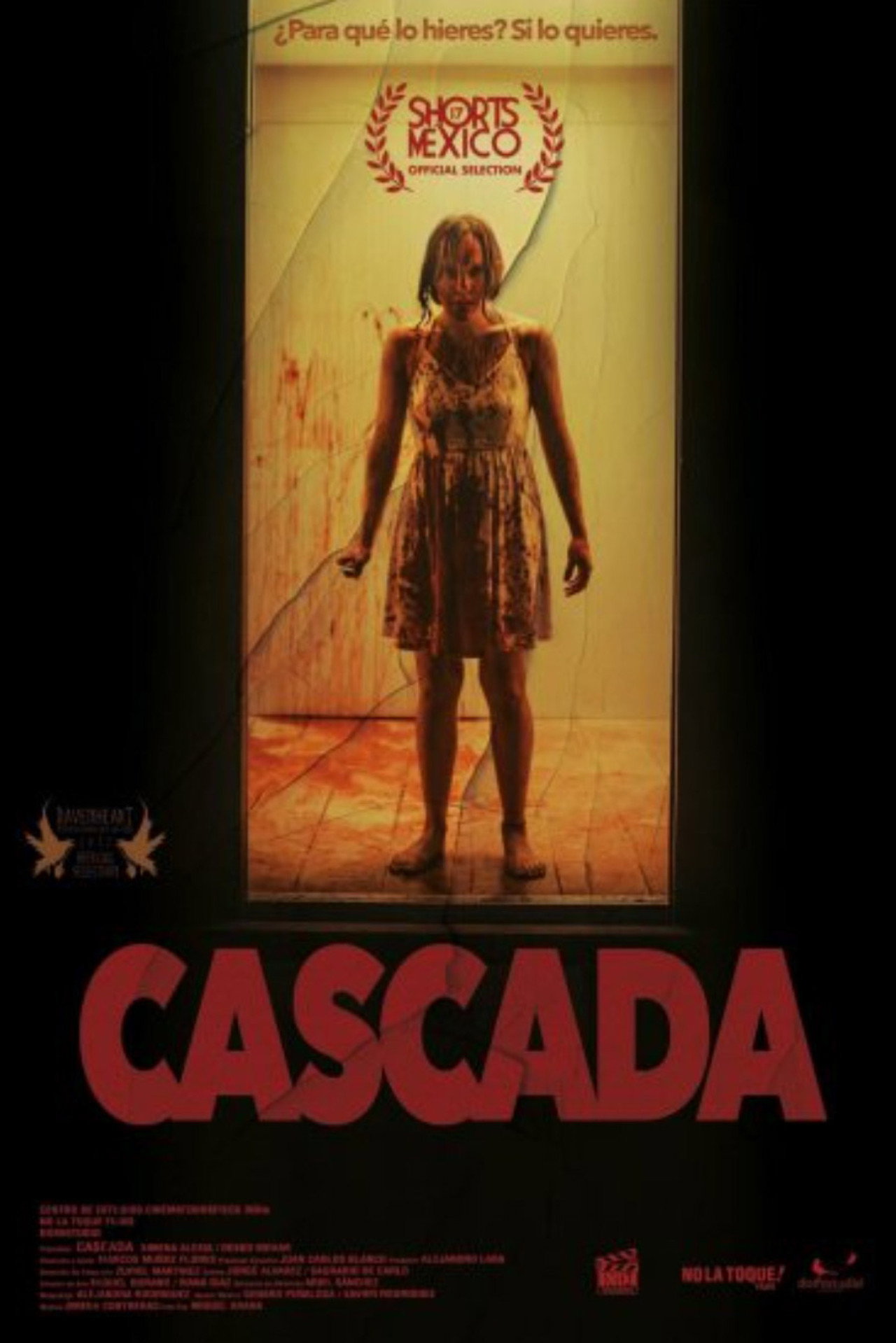 Cascada filmaffisch