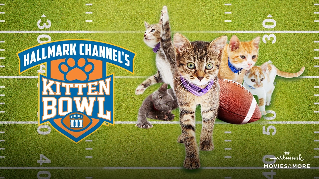 Kitten Bowl III Backdrop Image