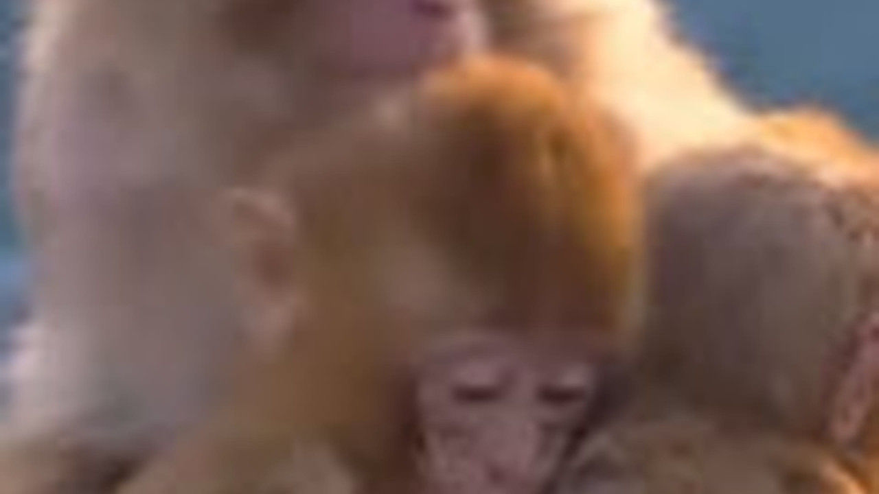 传奇故事 — Épisode 45