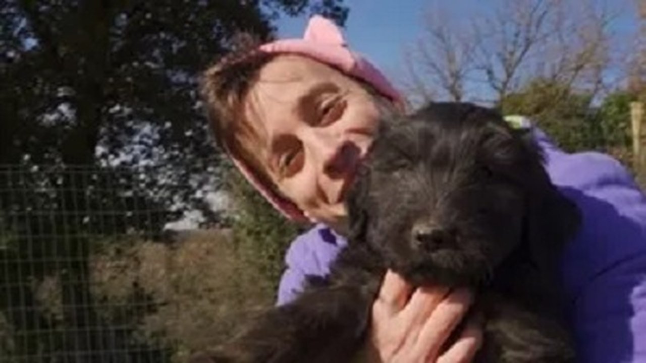 Titó - Season 1 Episode 35 : Episode 35