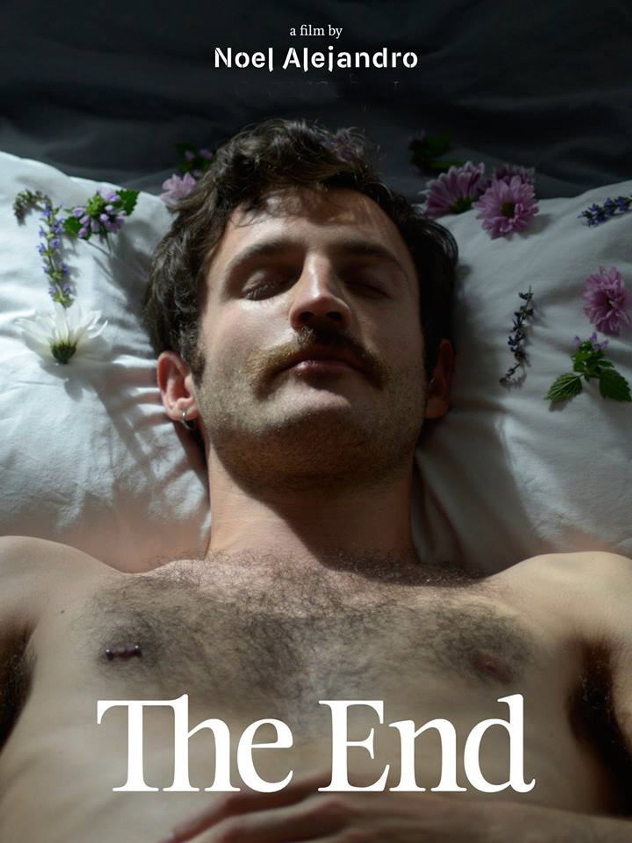 The End filmaffisch