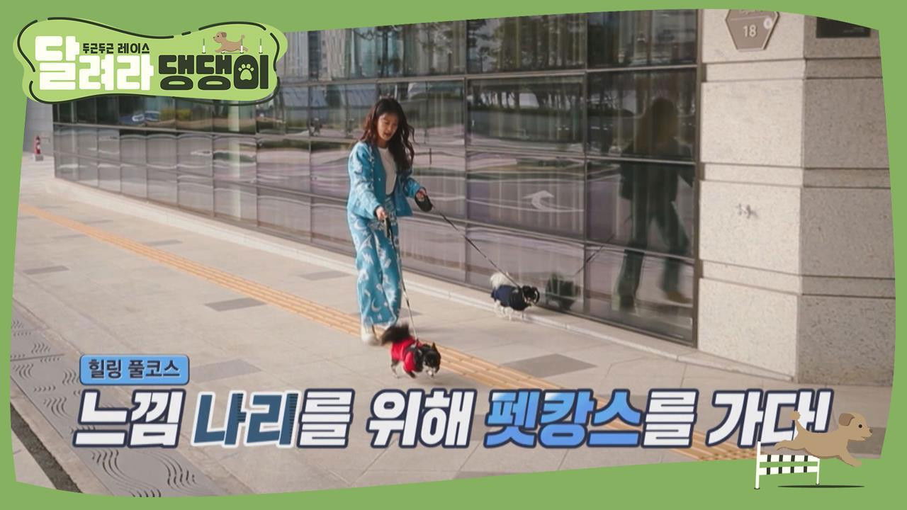 달려라 댕댕이 — Épisode 8