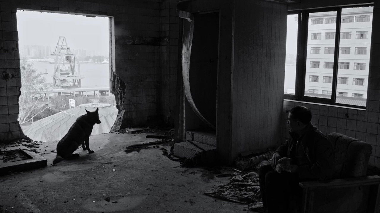 Treatise on Cold Pathogenic Diseases backdrop