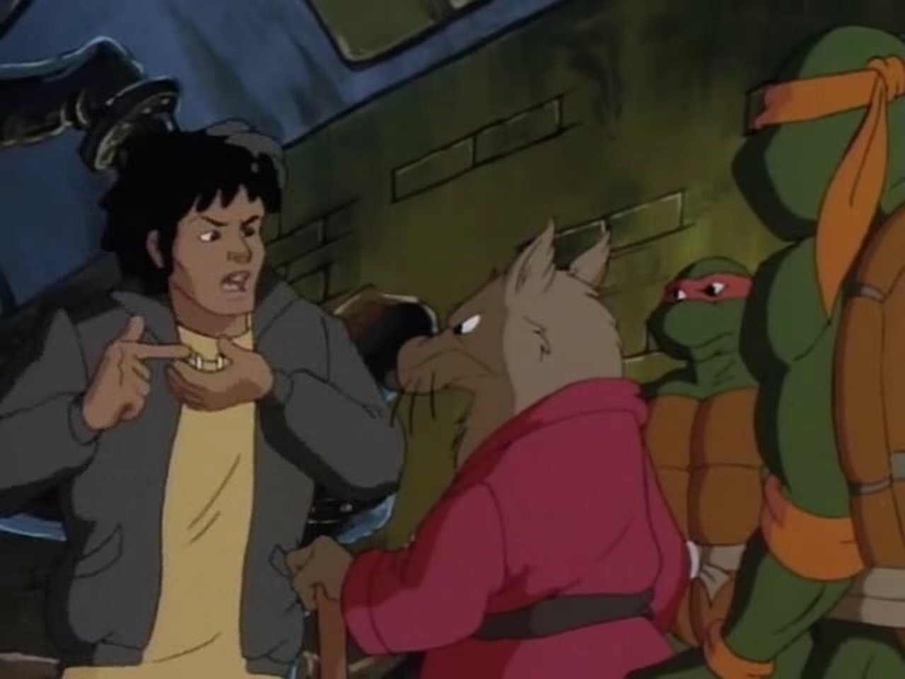 Teenage Mutant Ninja Turtles - Season 9 Episode 1 : The Unknown Ninja