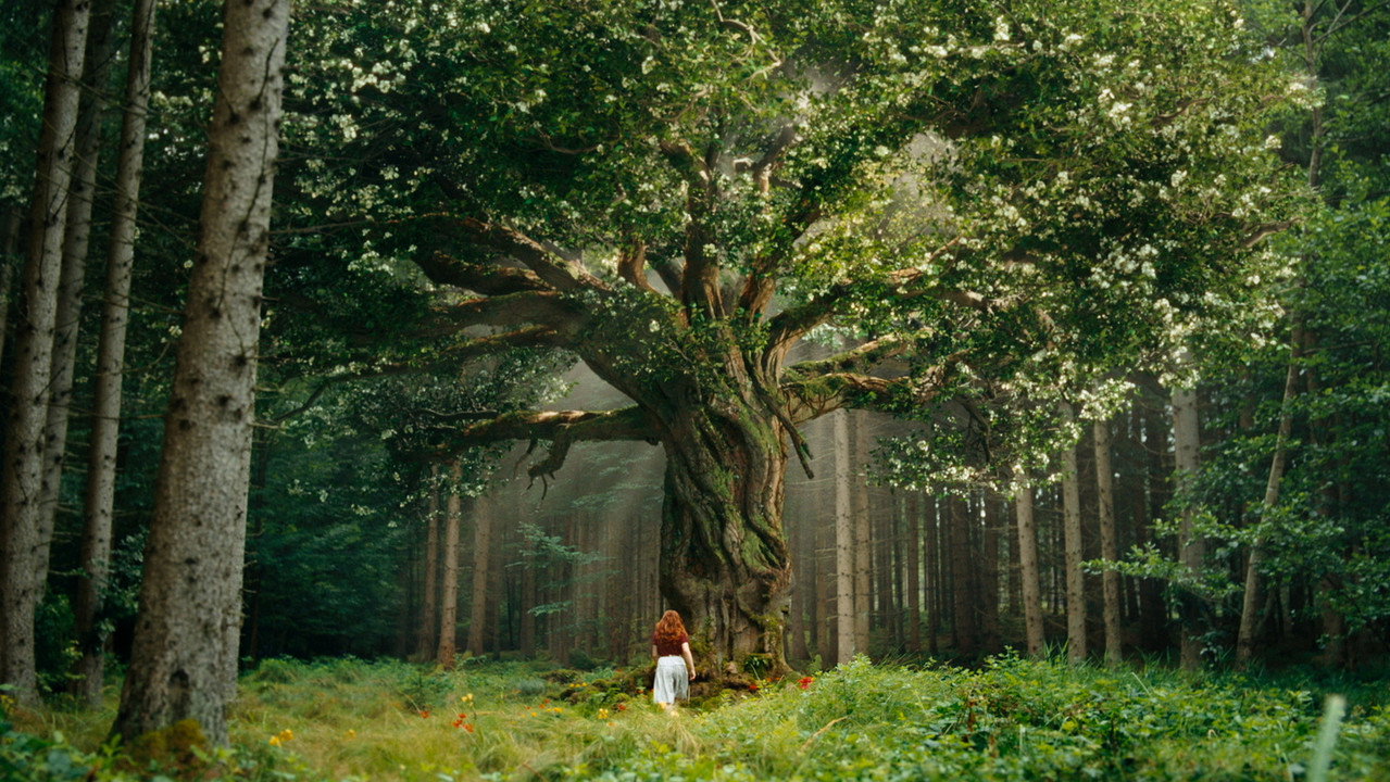 A Girl Named Willow still 6