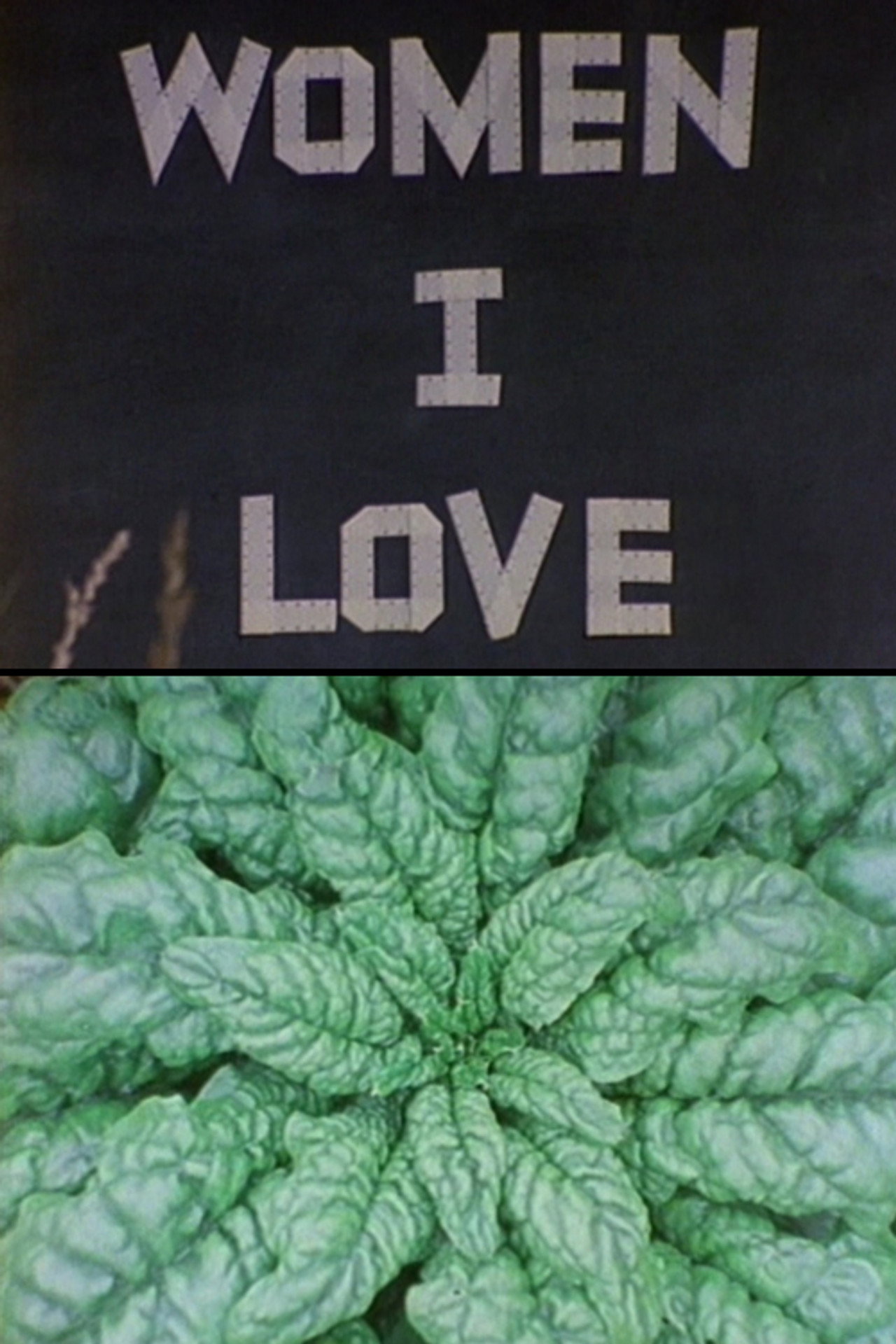 Women I Love filmaffisch