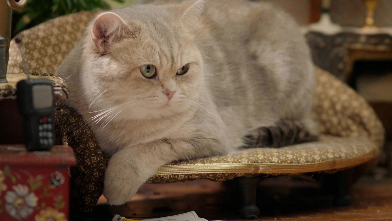 Poesjes — Épisode 8