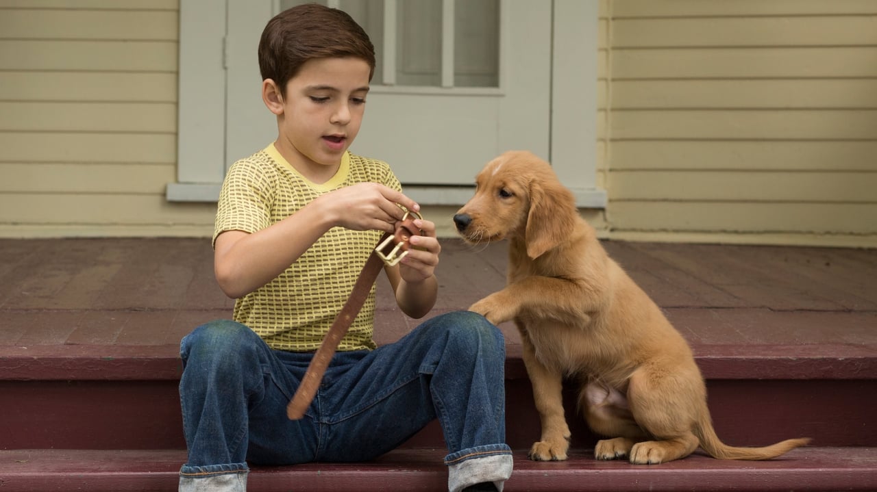 Watch Movies A Dog S Purpose 2017 The Best Site For Streaming