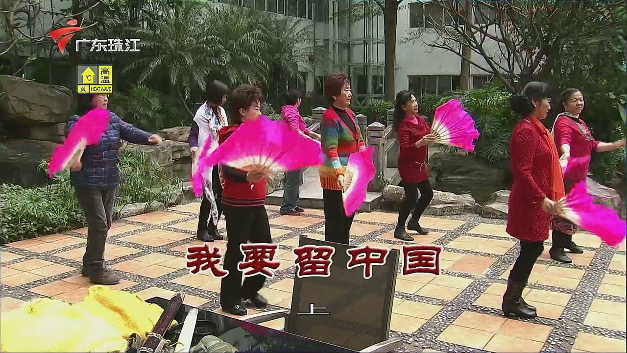 外来媳妇本地郎 — Épisode 3339