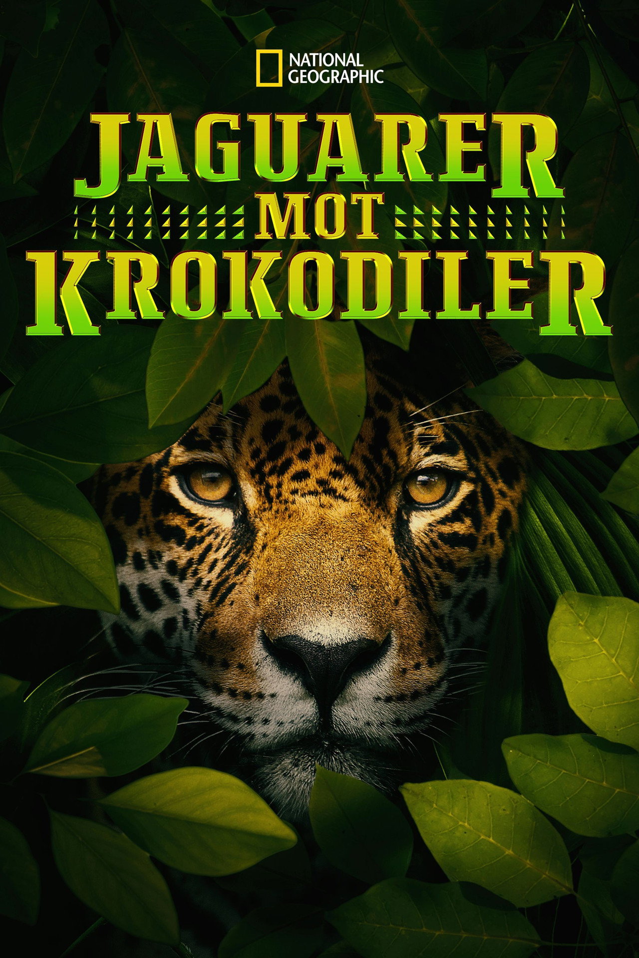 Jaguar vs. Krokodille filmaffisch