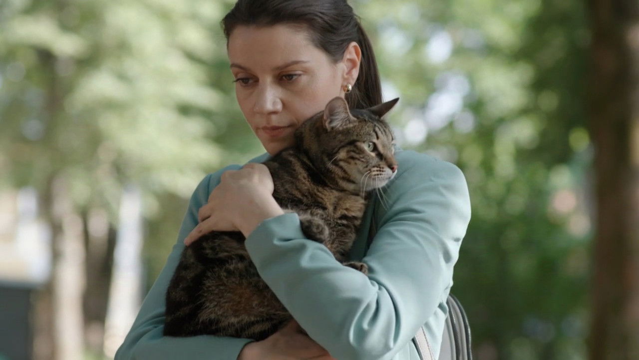 Женщина с котом и детективом — Épisode 1