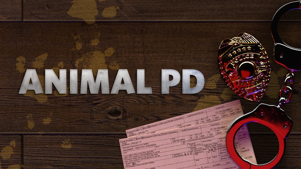 Animal PD background