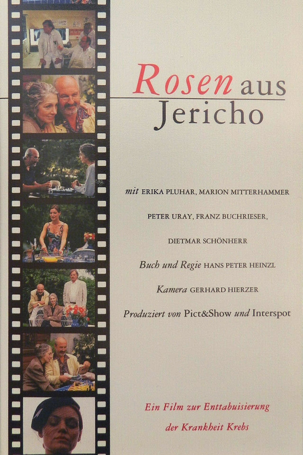 Rosen aus Jericho Backdrop
