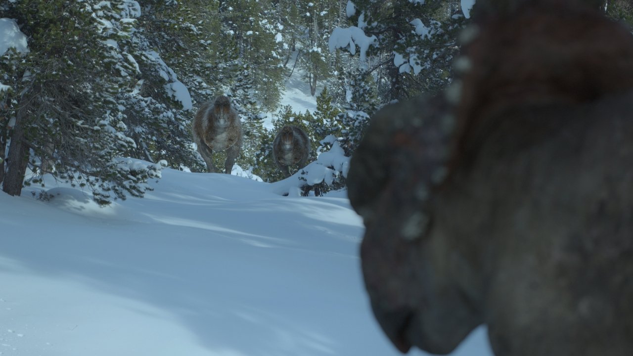 Prehistoric Planet - Season 0 Episode 4 : Uncovered: Did Dinosaurs Hunt in Packs?