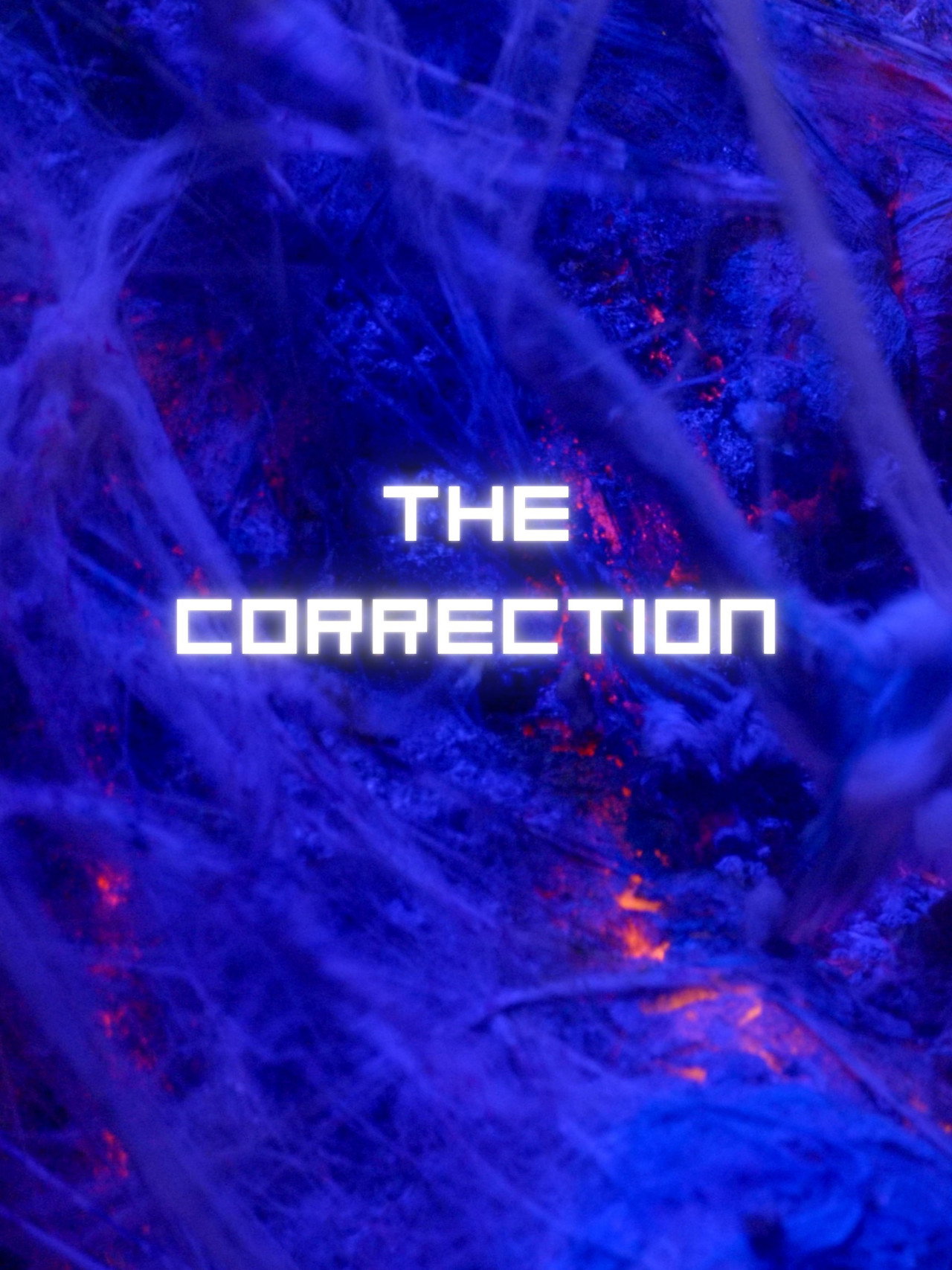 The Correction filmaffisch