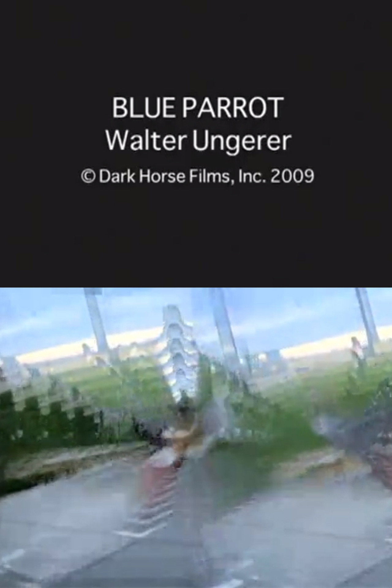 Blue Parrot filmaffisch