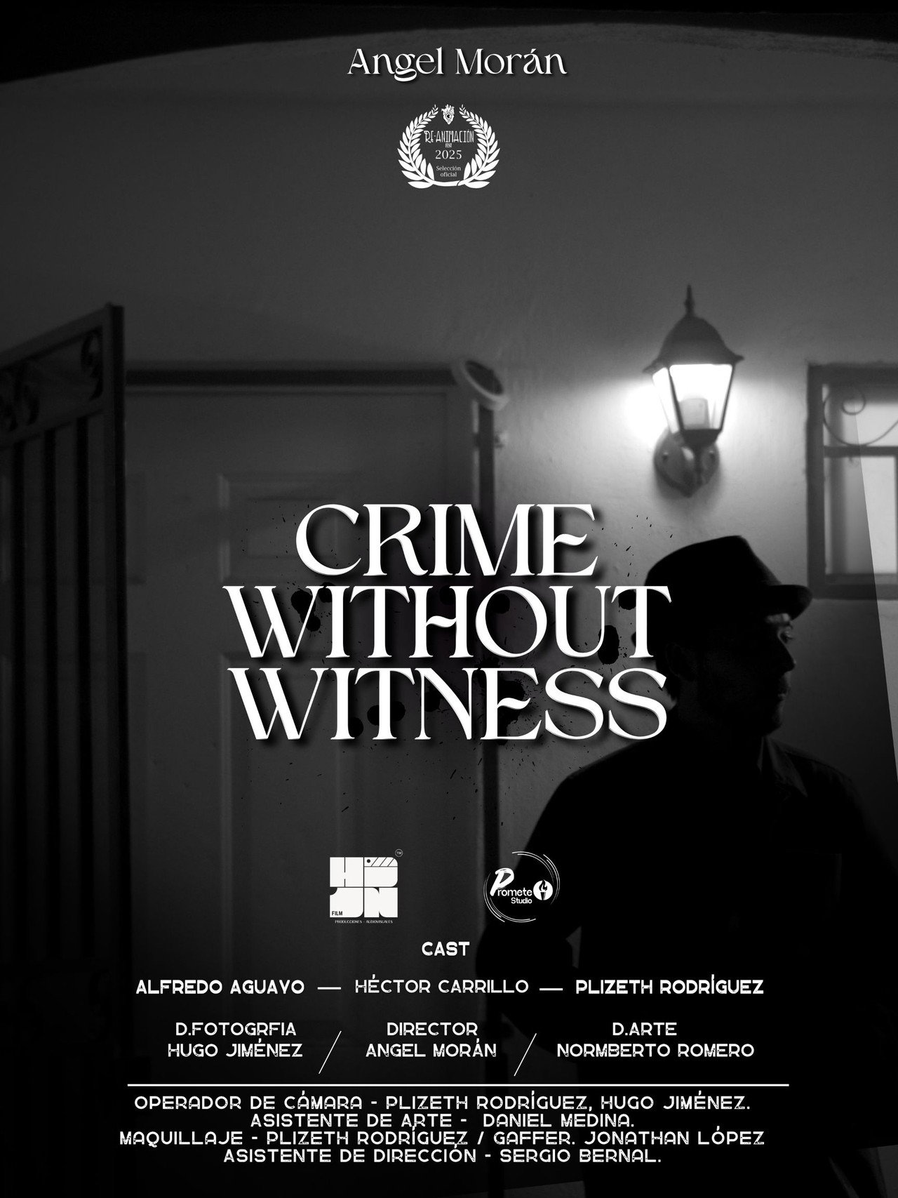 Crime Without Witness poster