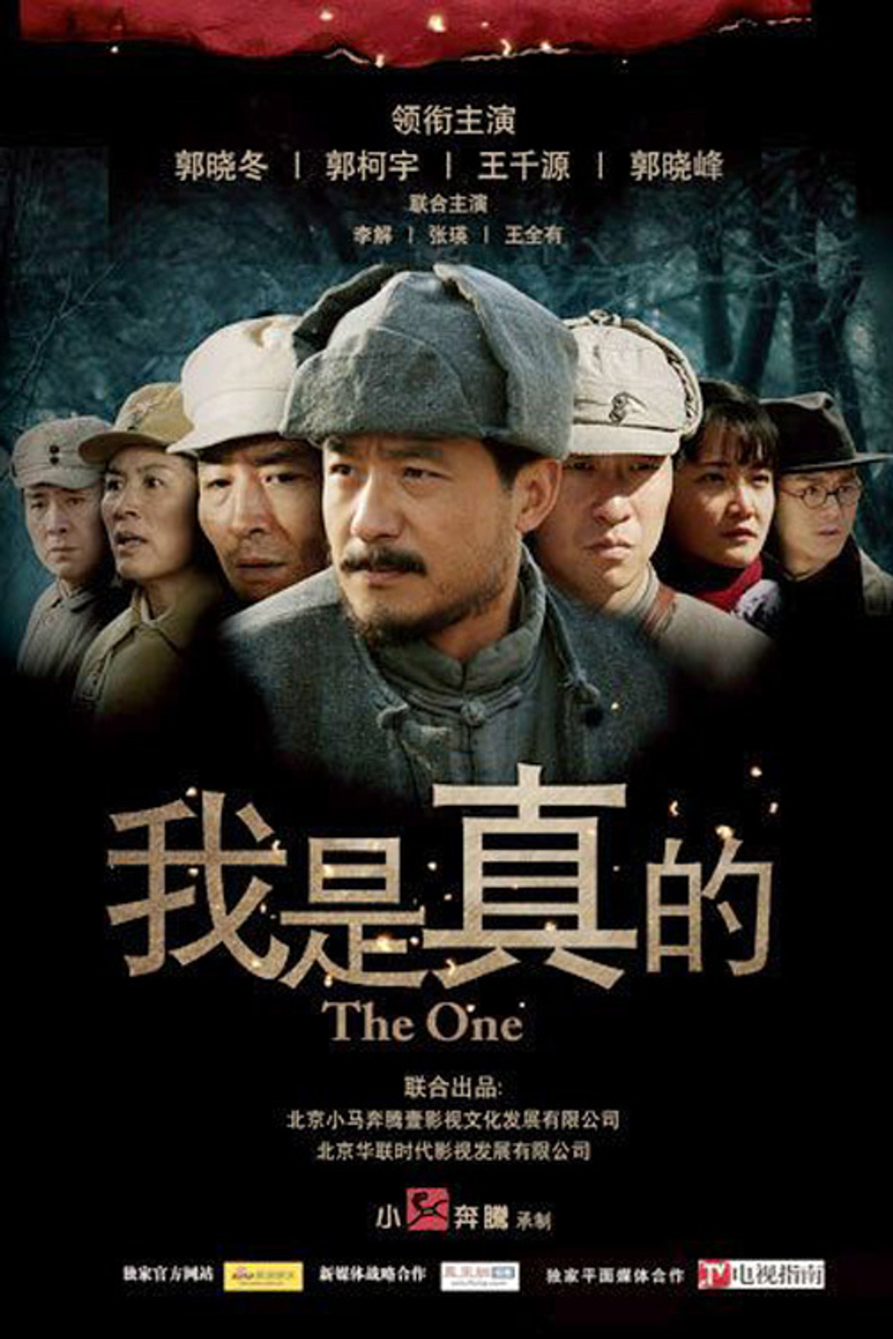 我是真的 affisch