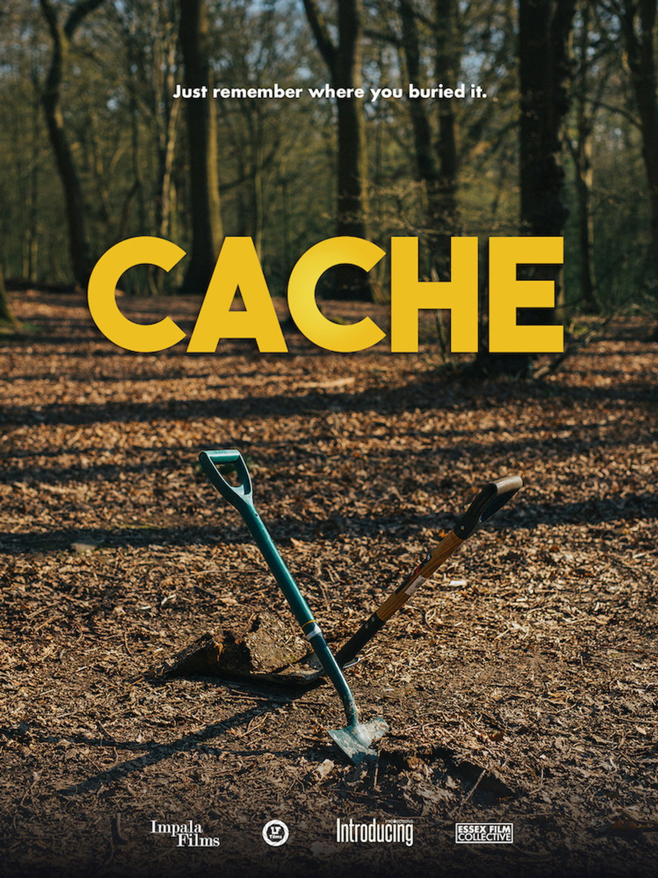 Cache filmaffisch