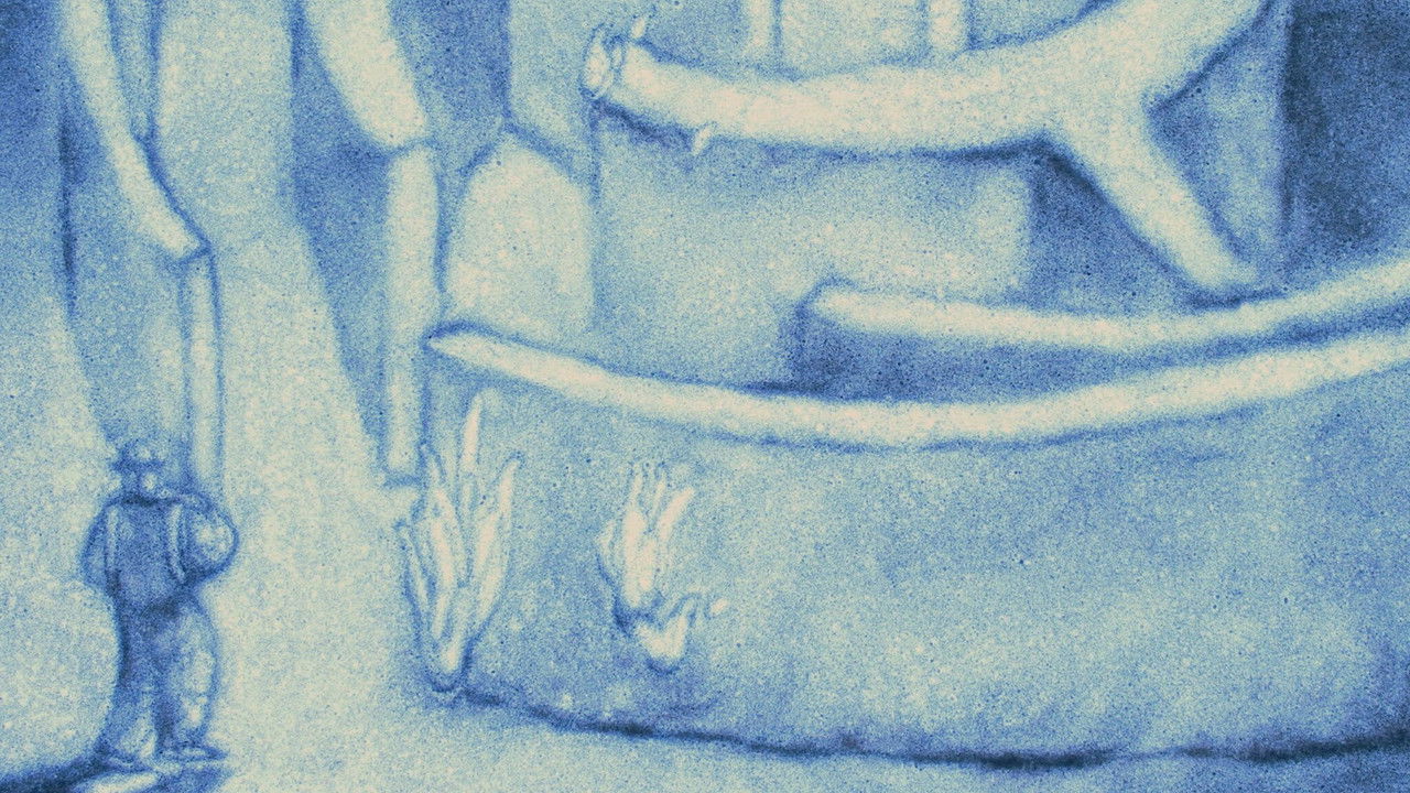 White Horse Backdrop