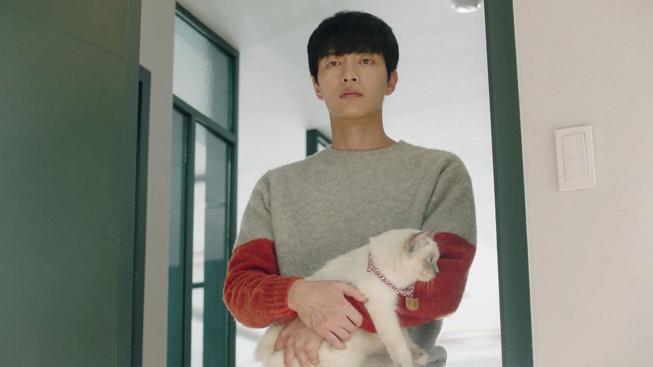 Porque Esta é a Minha Primeira Vida backdrop