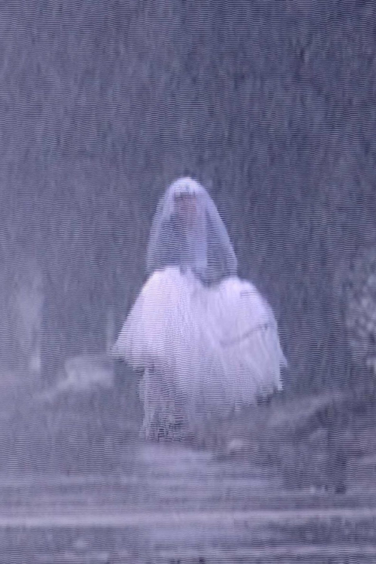 Eternal Bride