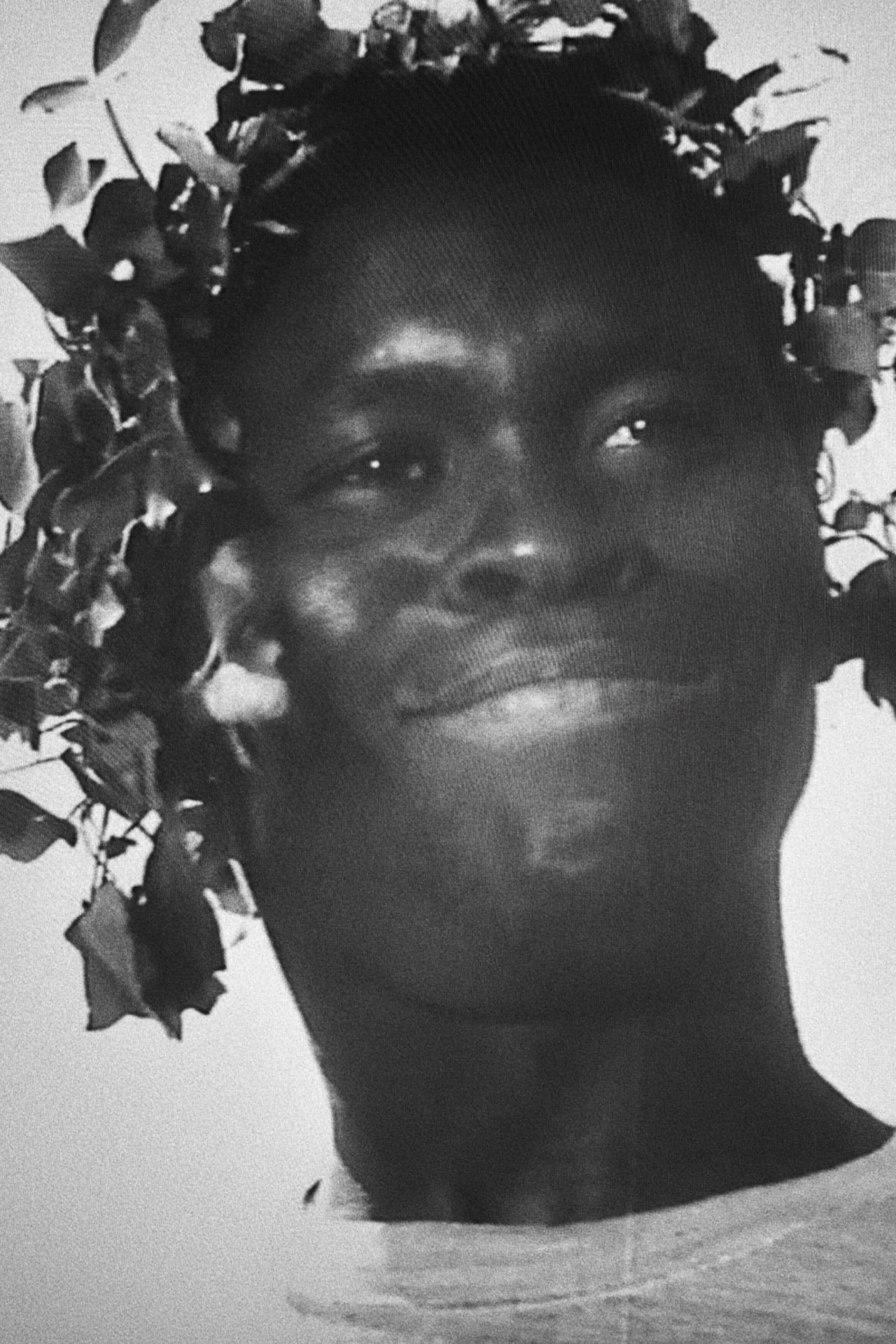 La battaglia Backdrop