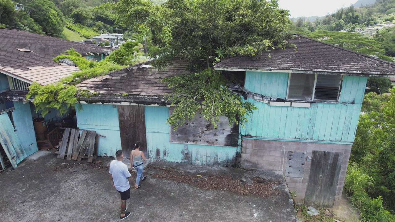 Renovation Aloha - Season 1 Episode 1 : A Tree Through the Roof!