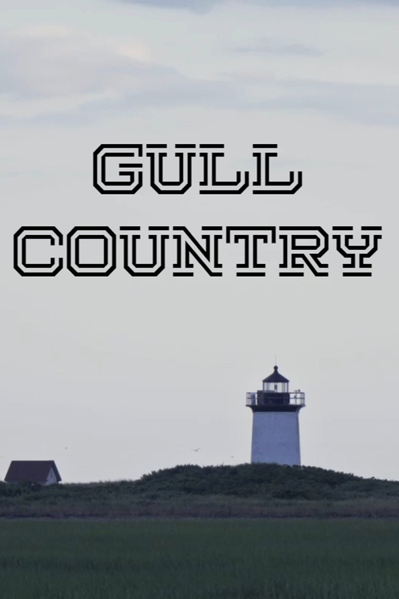 Gull Country Backdrop