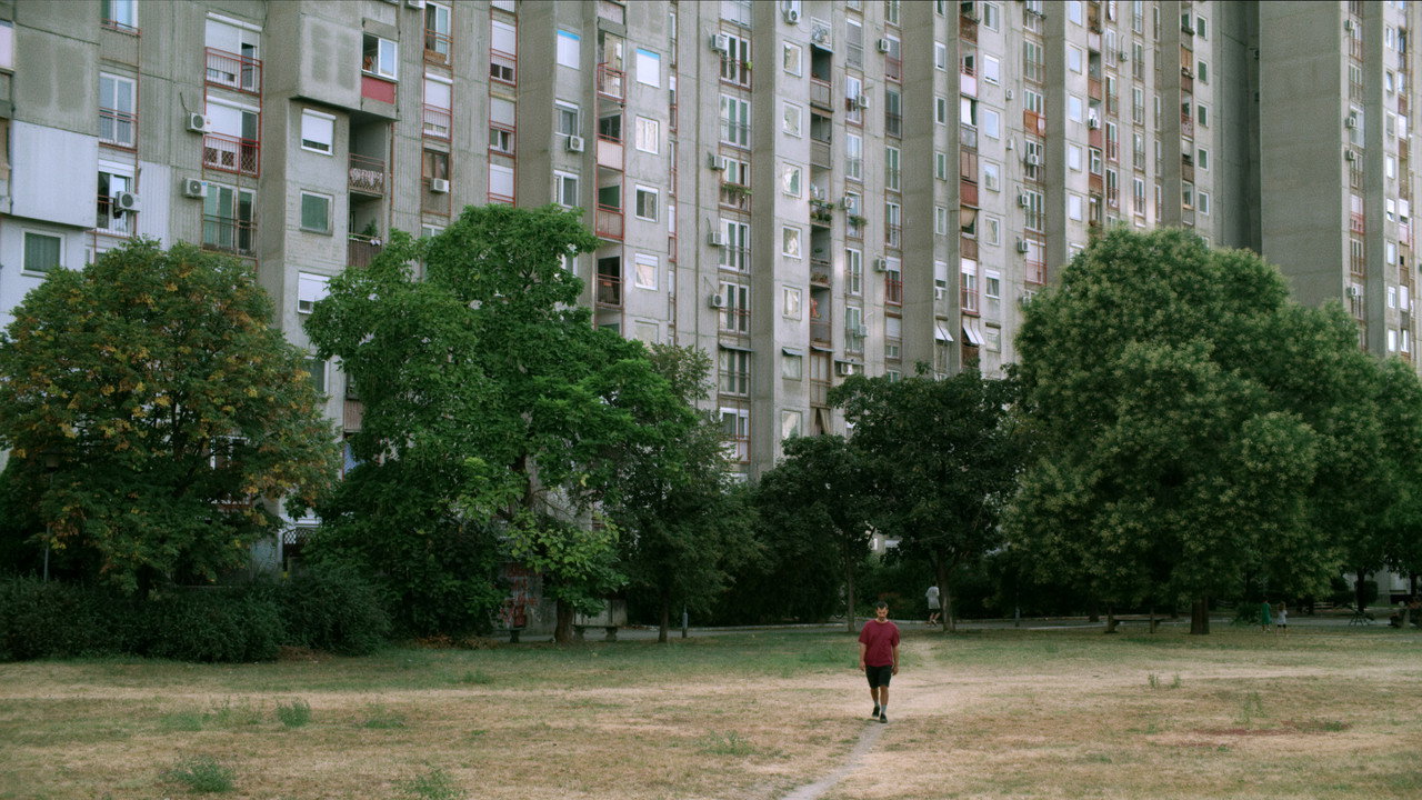 Desire Lines backdrop