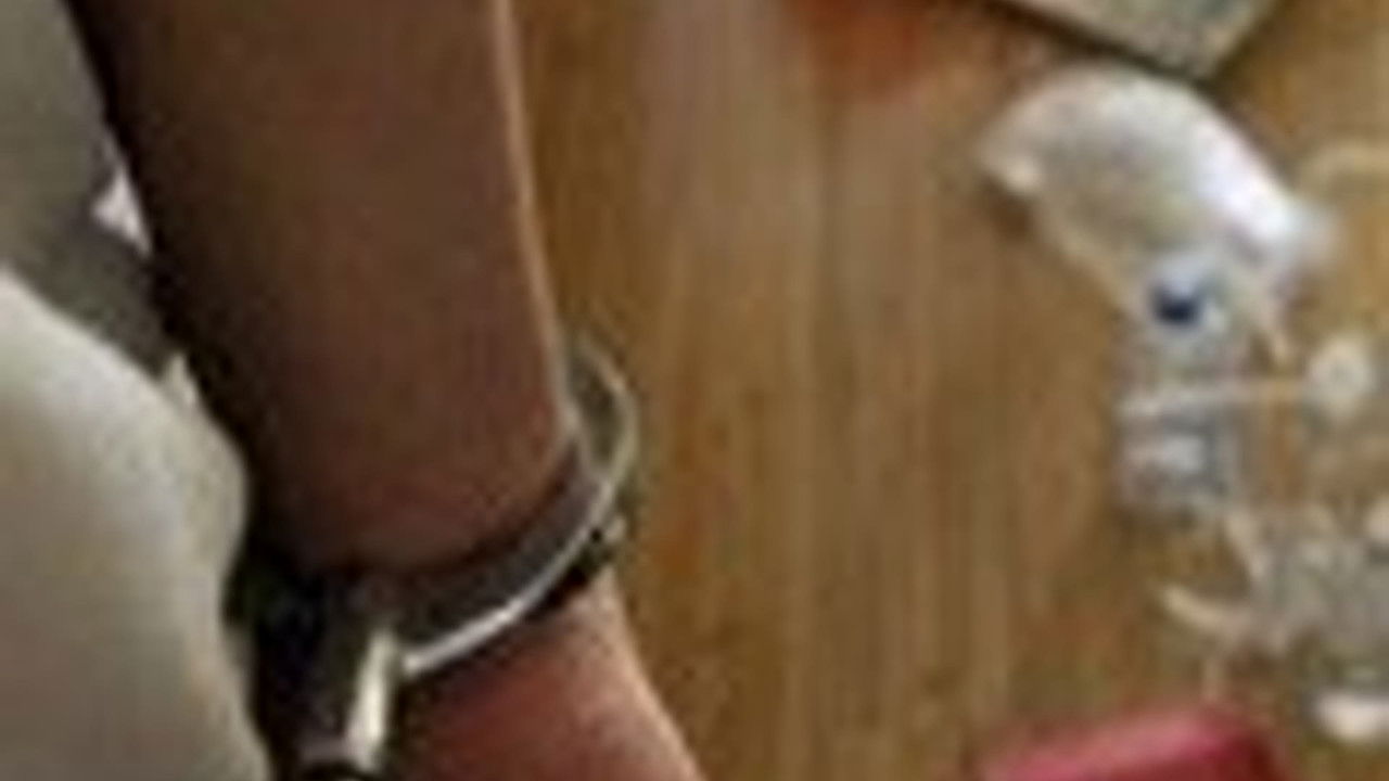 传奇故事 — Épisode 85