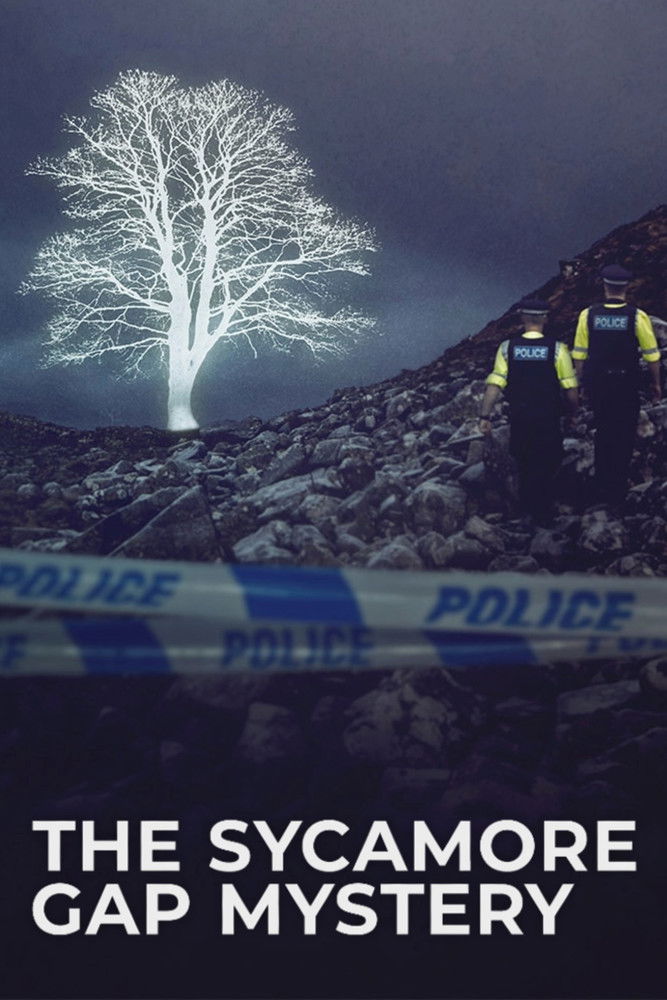 The Sycamore Gap Mystery poster