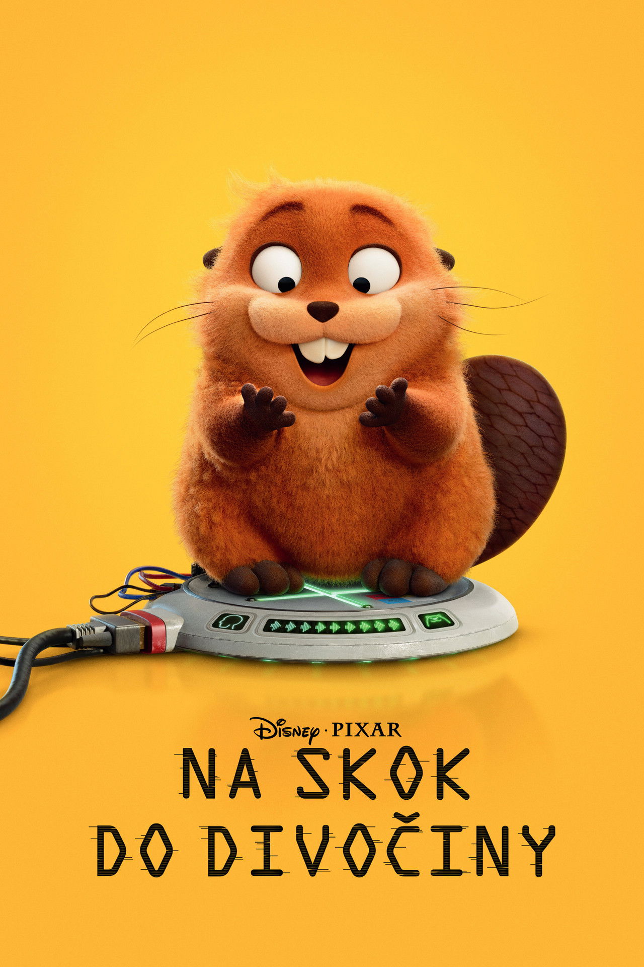 Na skok do divočiny