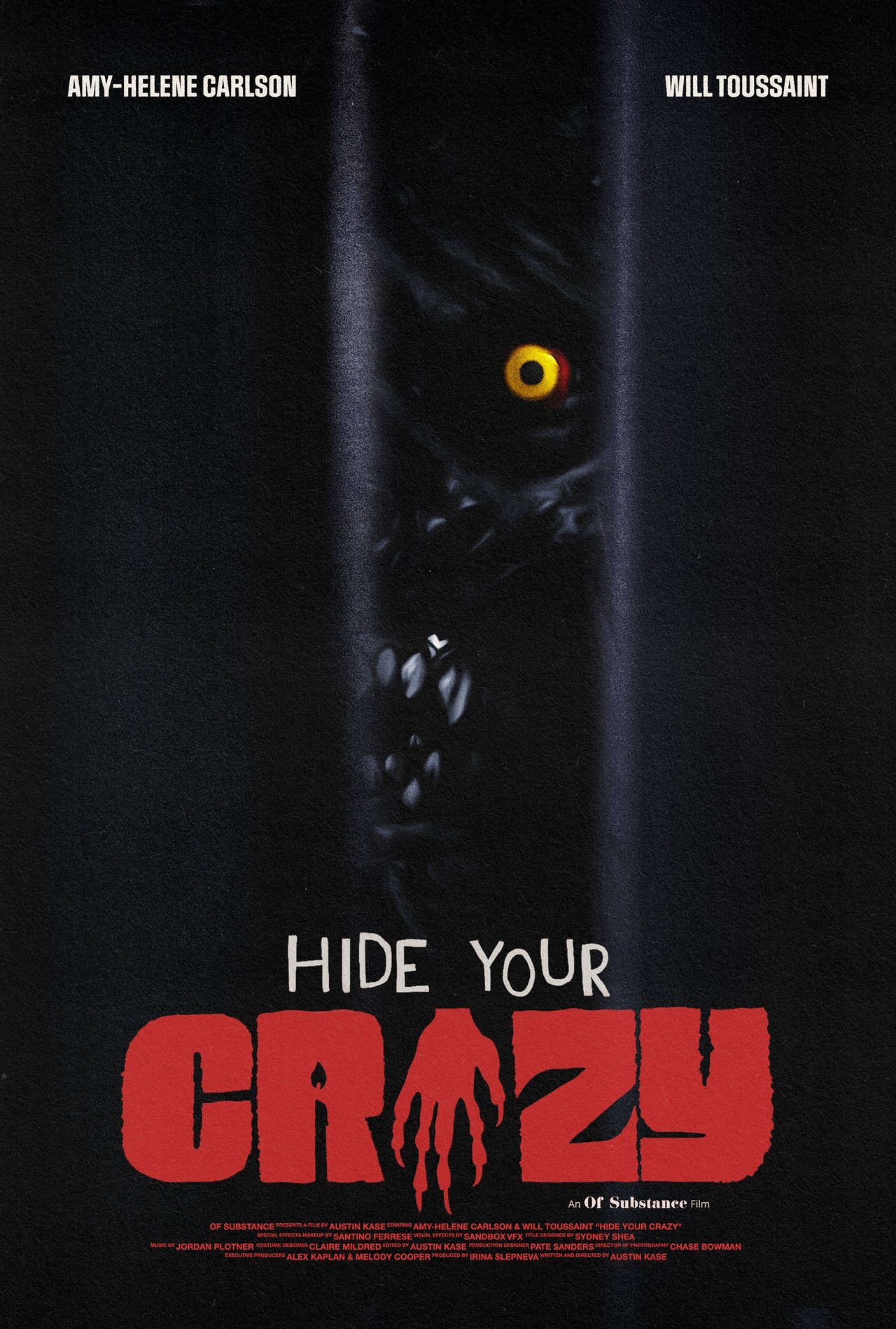 Hide Your Crazy Hide Your Crazy