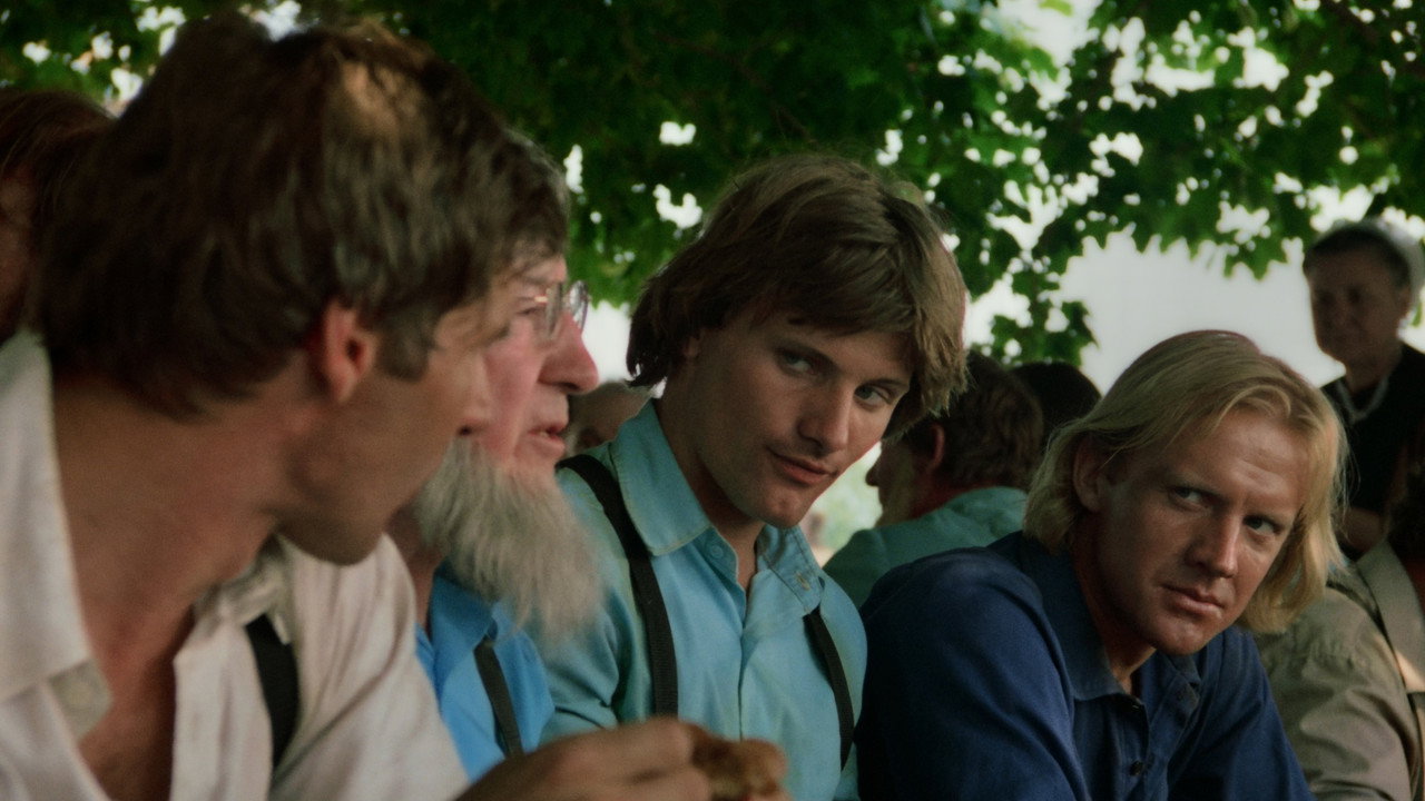 Witness background 66