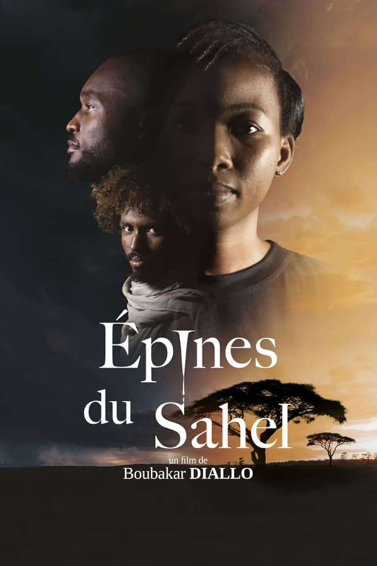 Épines du Sahel poster