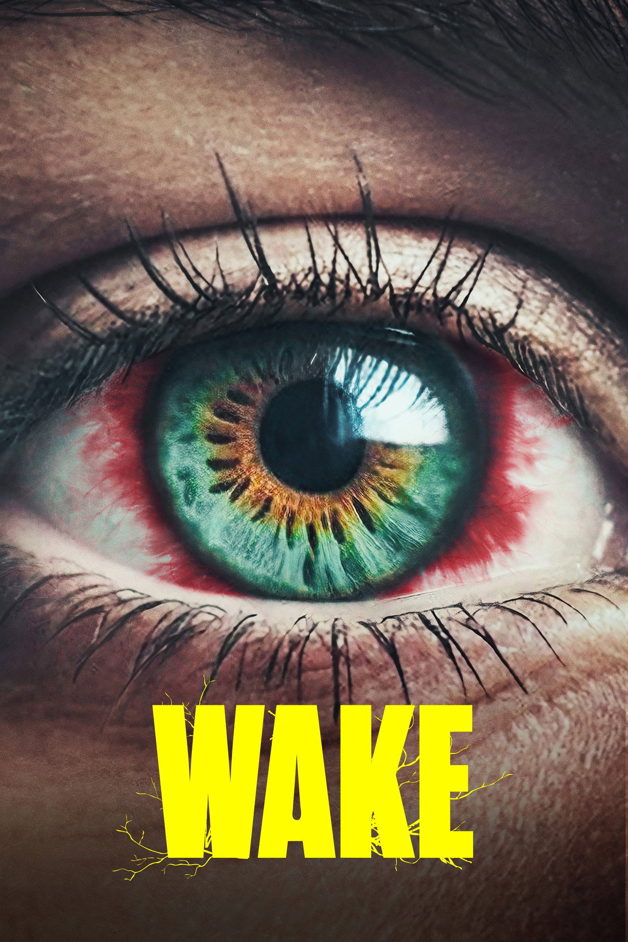 Vaka