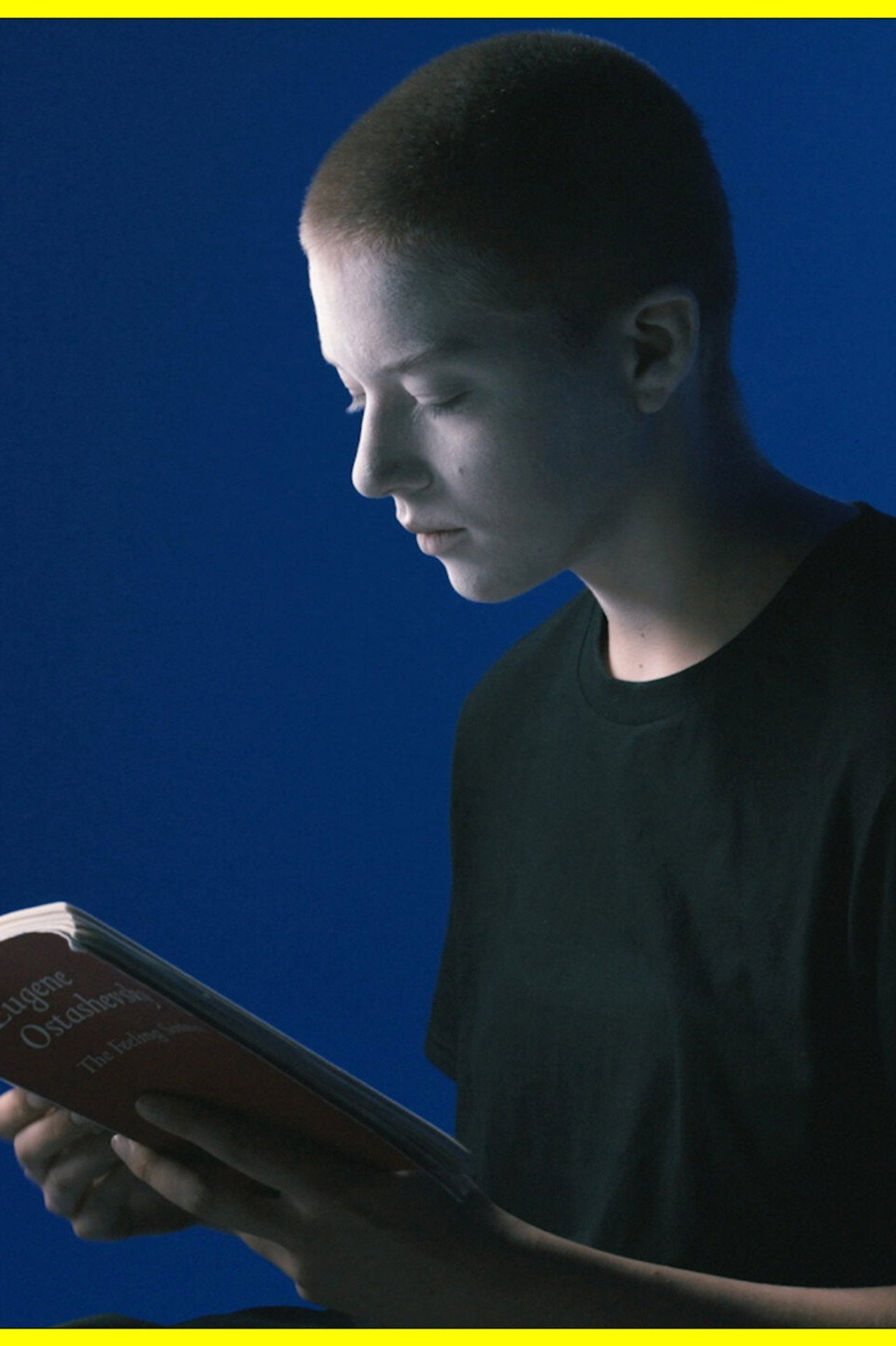 The Feeling Sonnets (Transitional Object) filmaffisch