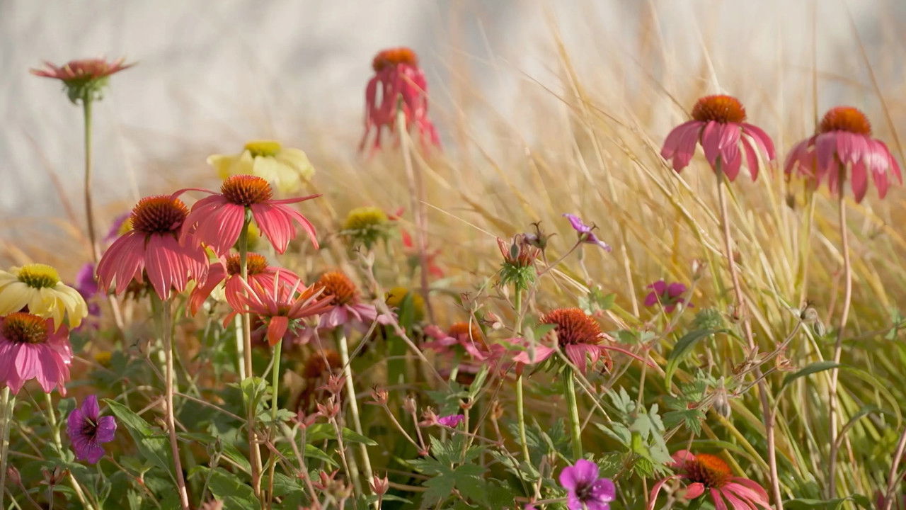 Gardening Australia — Épisode 3