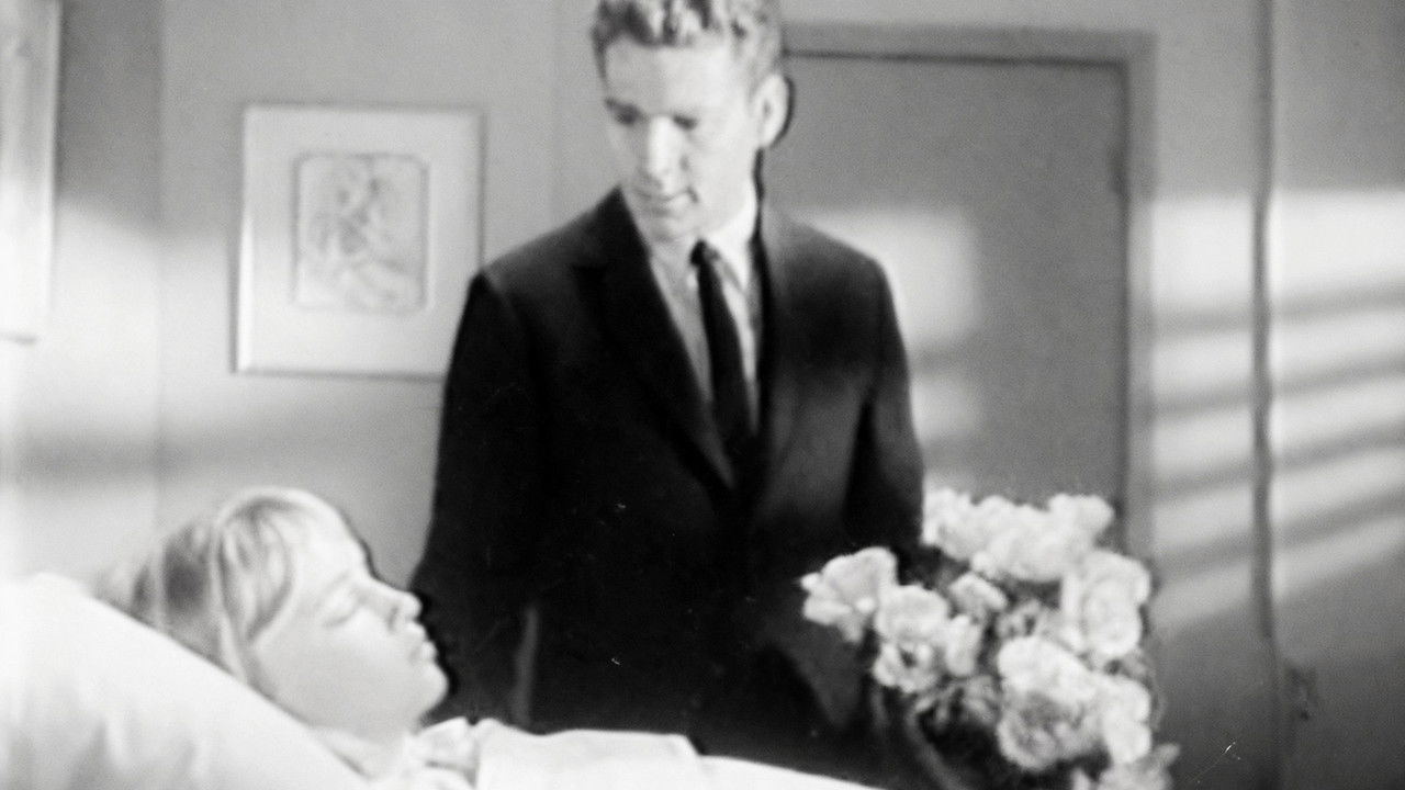 Peyton Place — Épisode 28