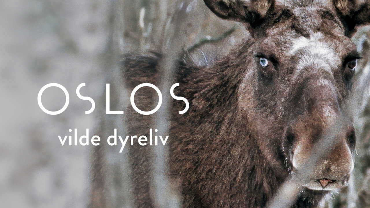 Oslo – The Wild Heart of Norway