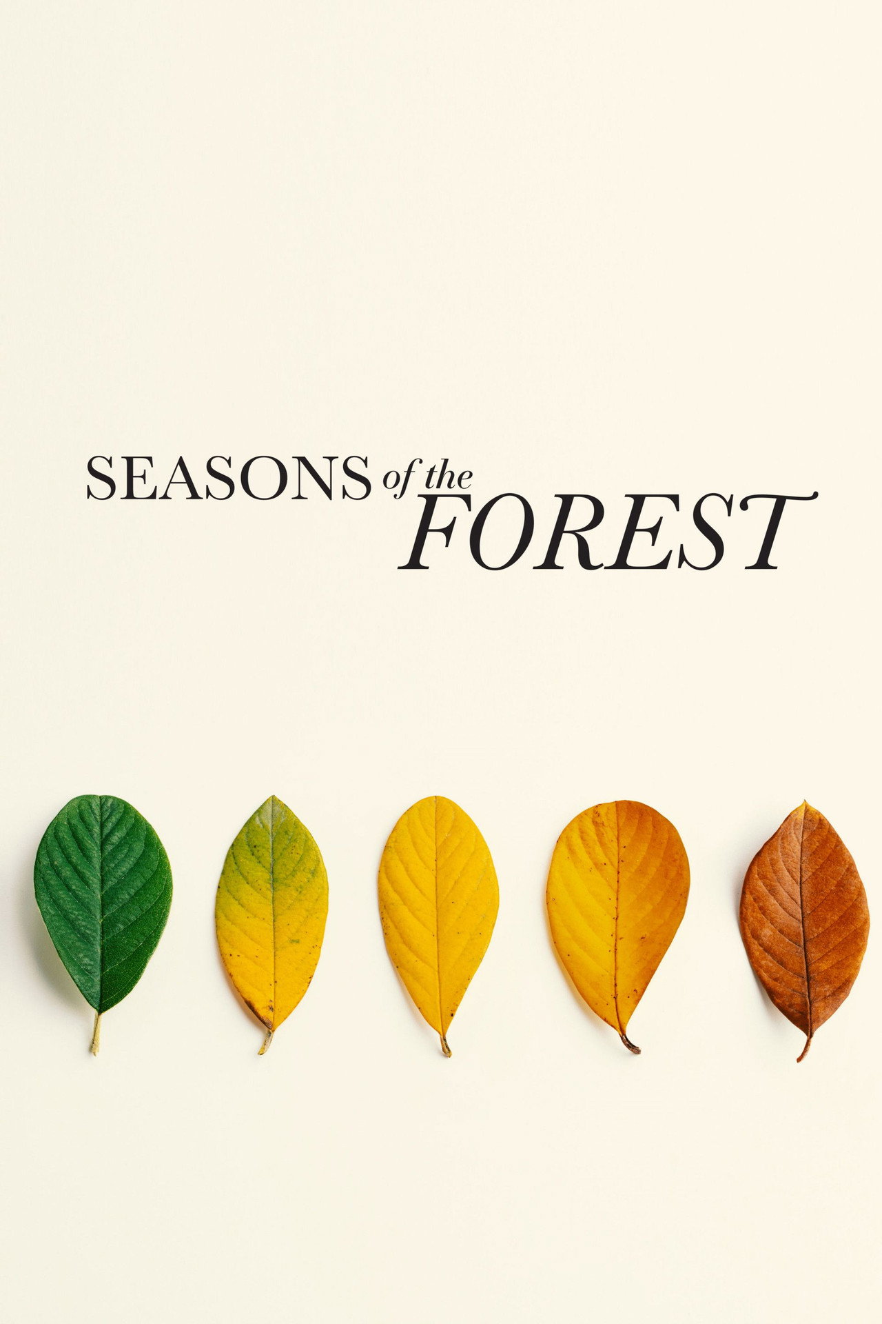 Seasons of the Forest Backdrop