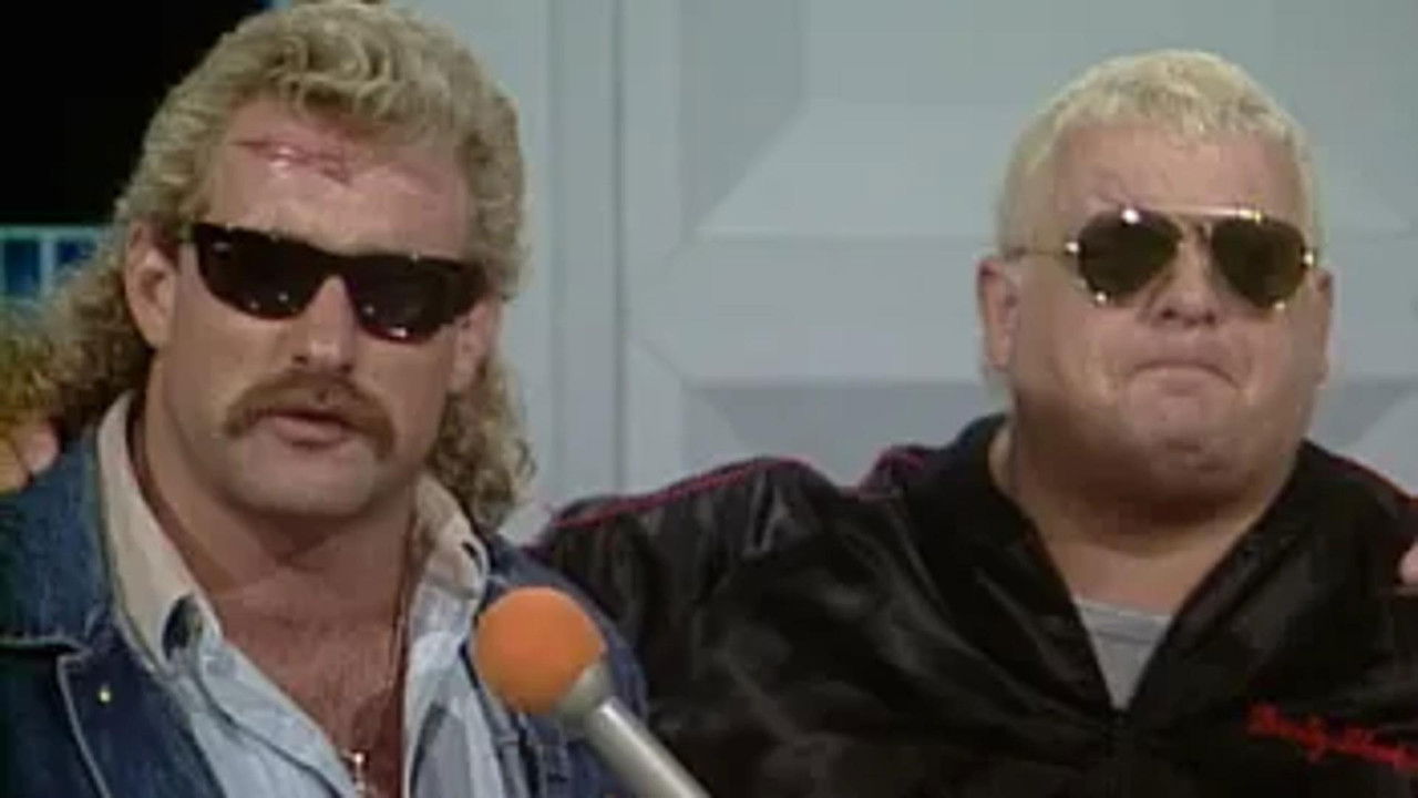 NWA World Championship Wrestling — Épisode 31