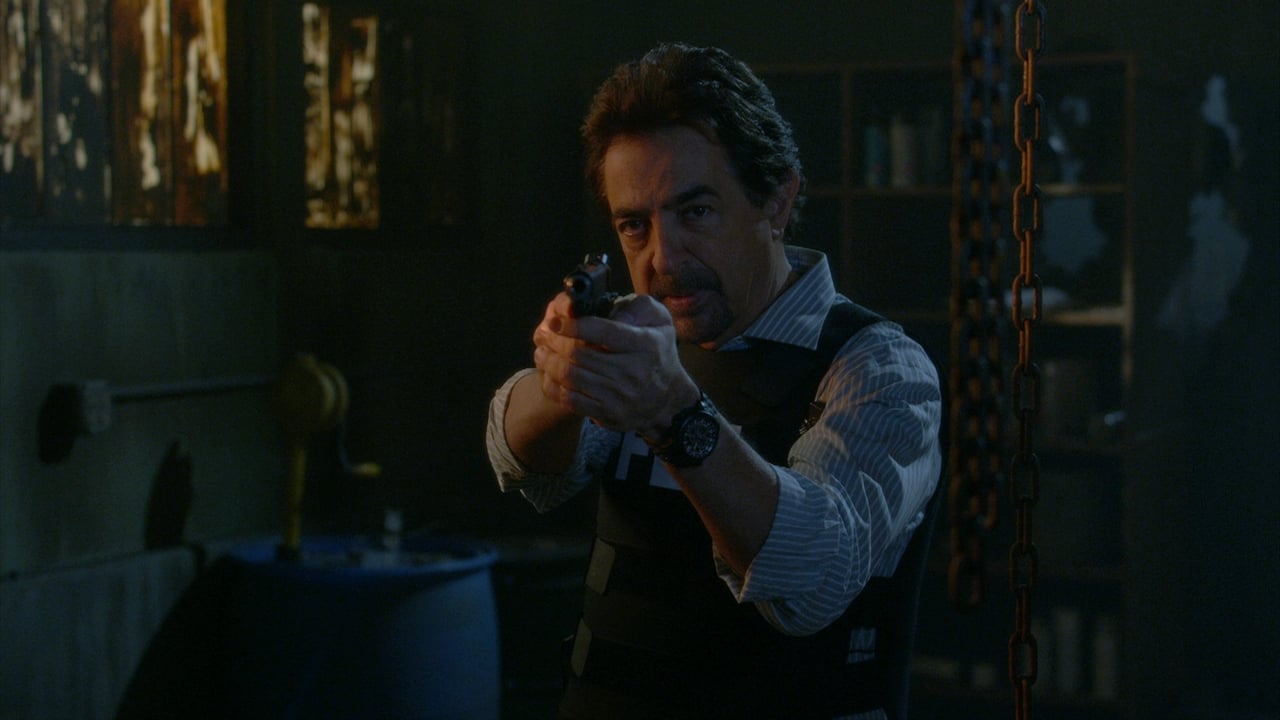 Criminal Minds - Season 12 Episode 9 : Profiling 202