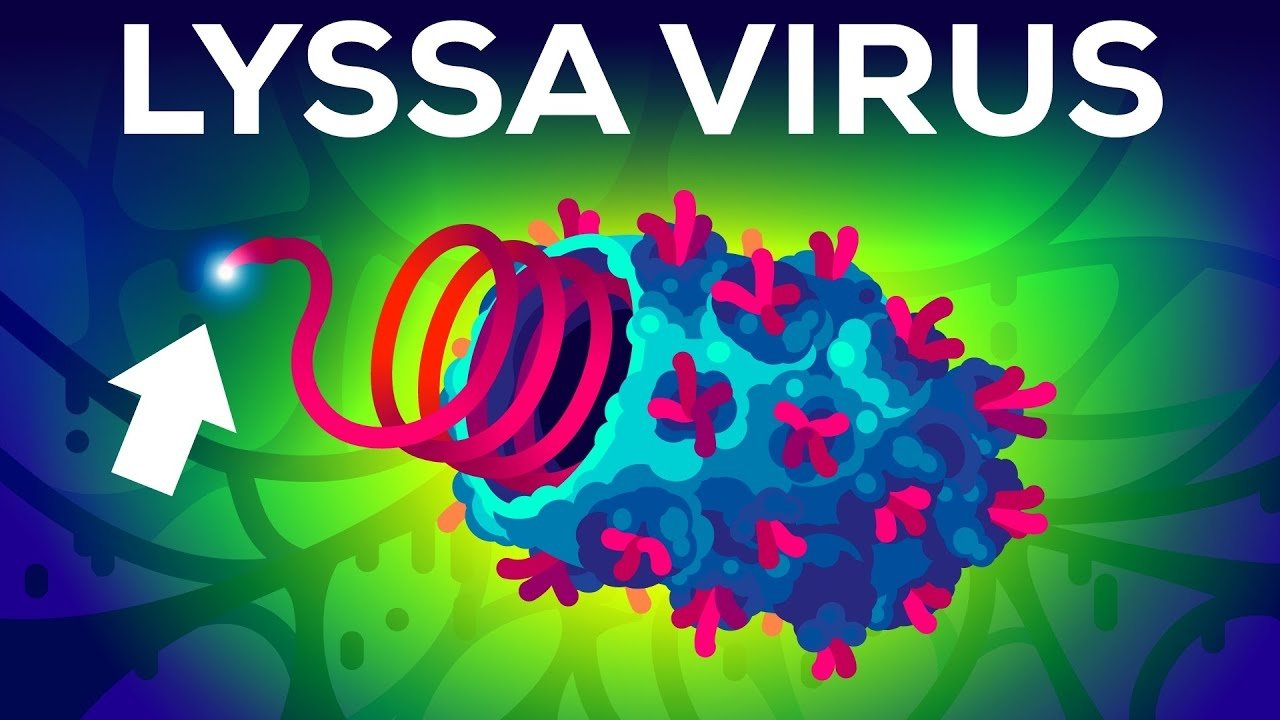Kurzgesagt - In a Nutshell - Season 10 Episode 8 : The Deadliest Virus on Earth