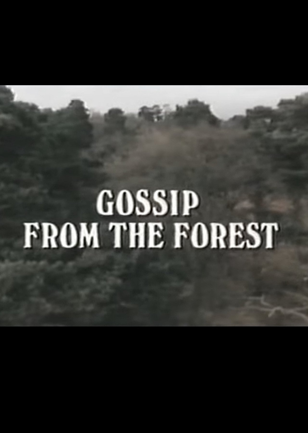 Gossip from the Forest 1979