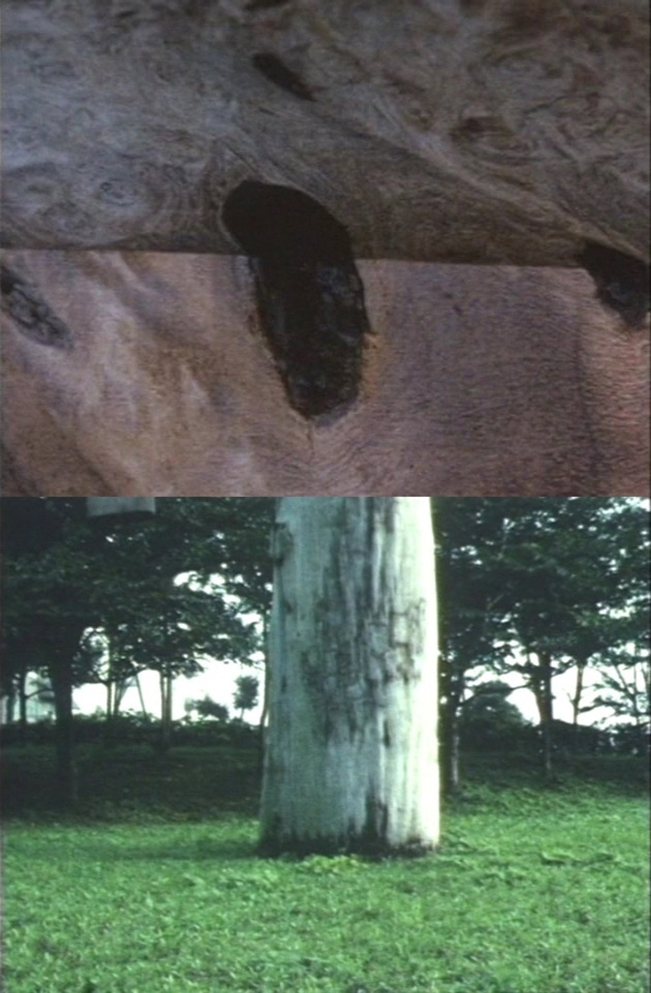 マテマテカ filmaffisch